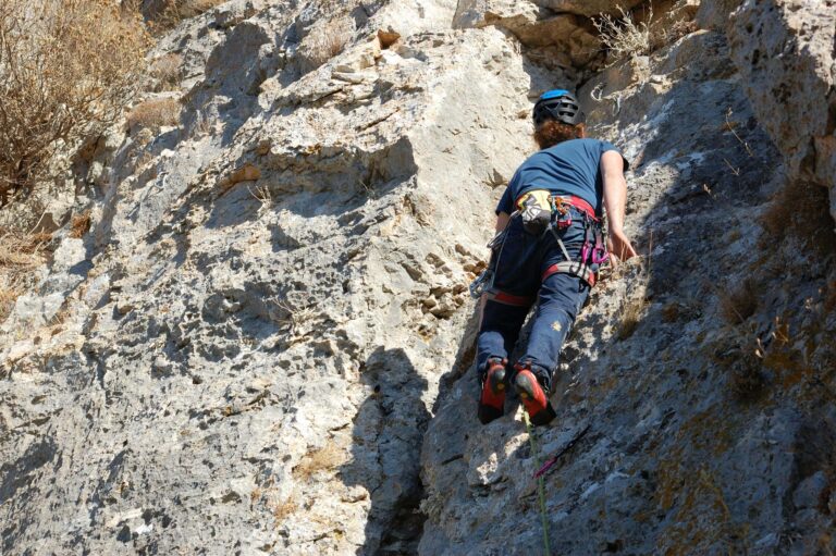 kurs wspinaczkowy PZA climb2change